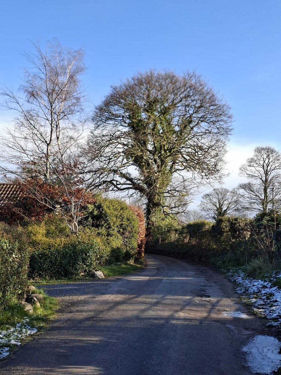 ColburnSupport's tweet image. The sun returned for a winter “Walk &amp;amp; Talk” last Thursday.