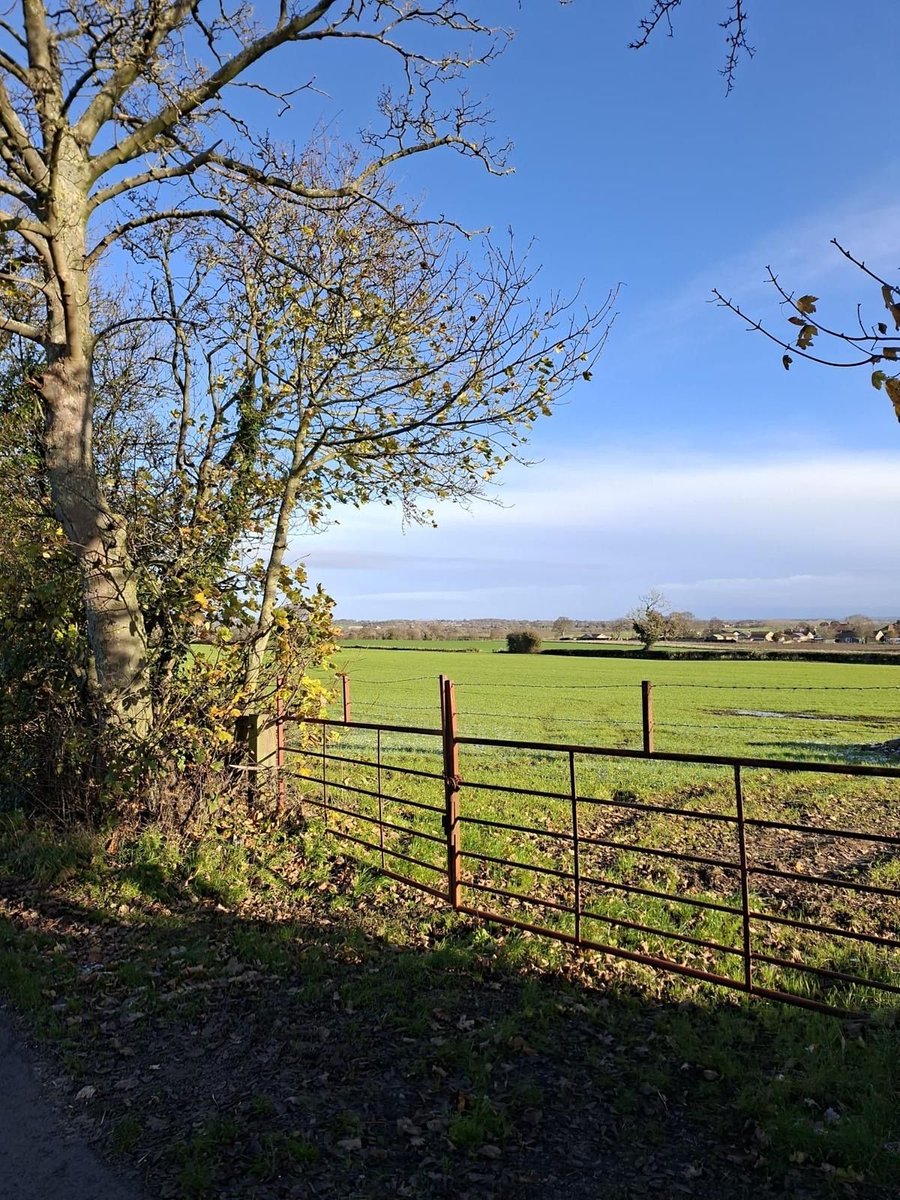 ColburnSupport's tweet image. The sun returned for a winter “Walk &amp;amp; Talk” last Thursday.