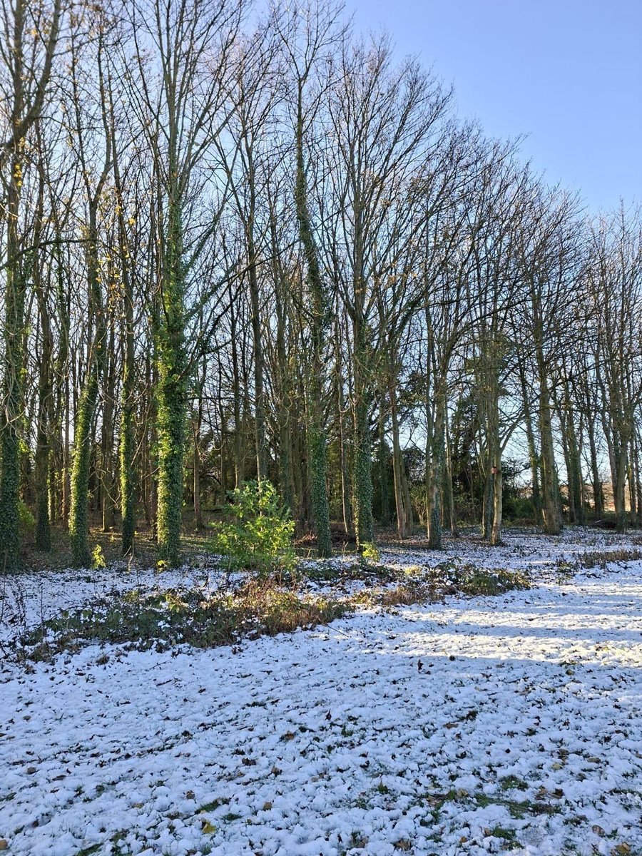 ColburnSupport's tweet image. The sun returned for a winter “Walk &amp;amp; Talk” last Thursday.