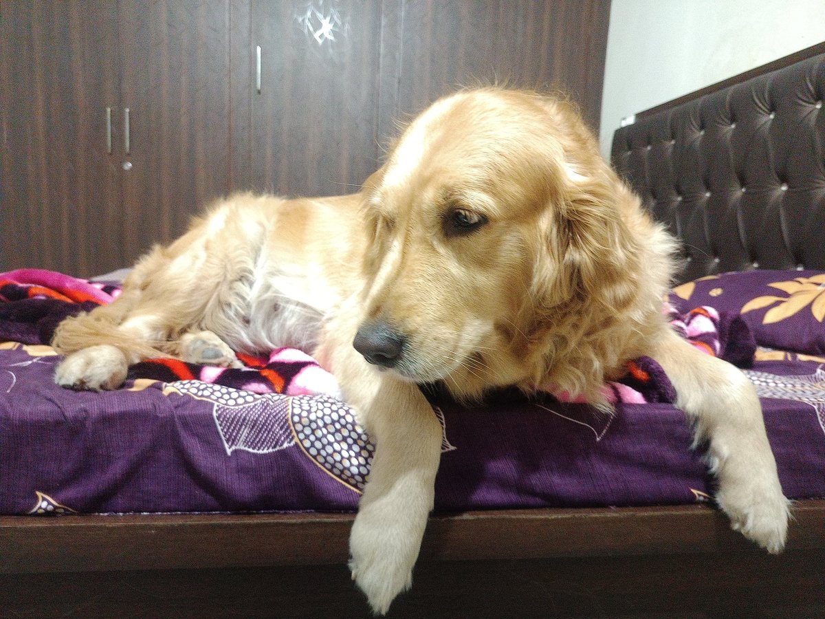 My bae is angry or what 😑