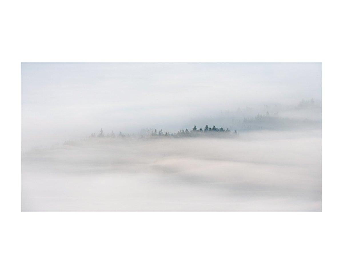 From a lovely morning in the Trossachs, back in September, 2021.

#Scotland 
#Photography