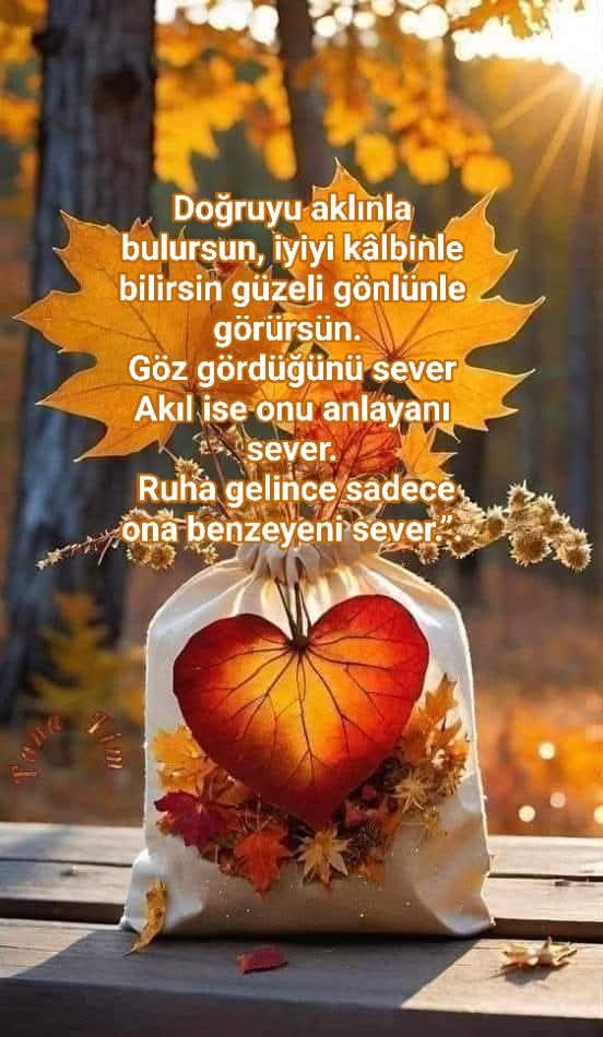 Mutlu akşamlar sevgili can dostlar