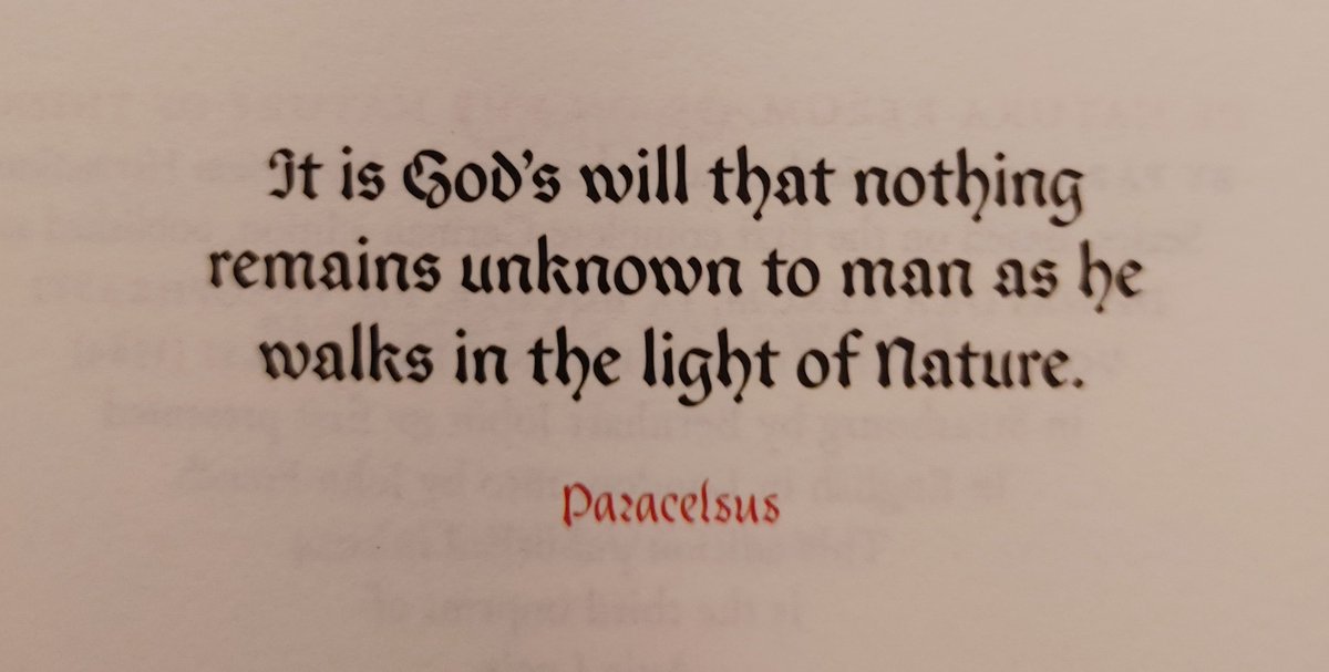 Trevor⚡ tweet media