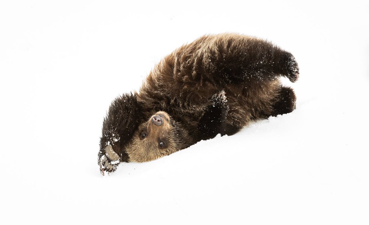 NatureLabsCA's tweet image. If you’re just checking in on us- indeed, this is still our vibe this weekend.