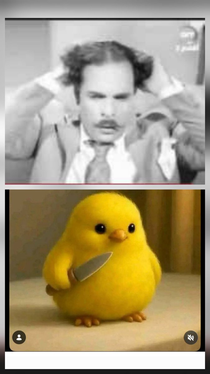 وكلهم بيجمعهم العقل والحكمة والاتزان❤️❤️