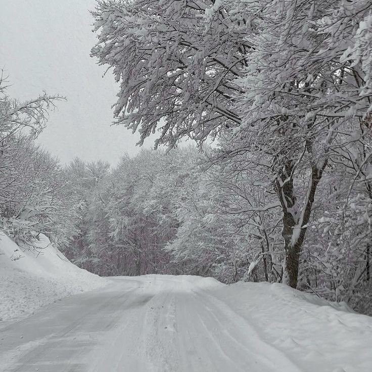 itdiorgurl's tweet image. winter days are coming…