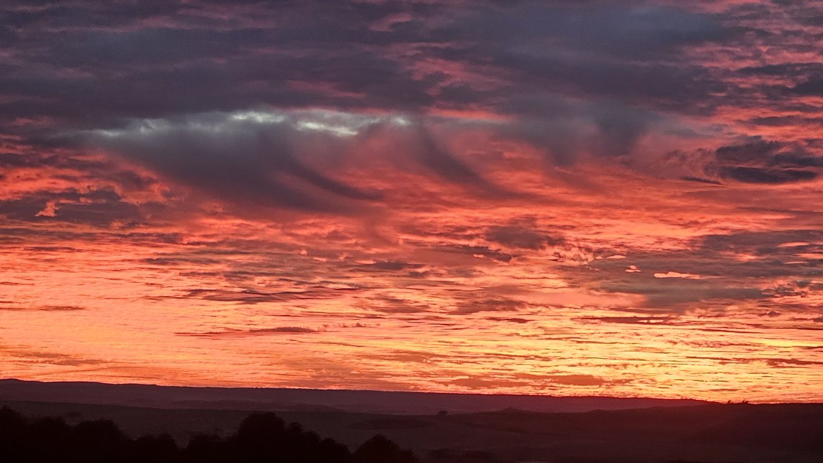 Carol Zaldivar 💚 tweet media