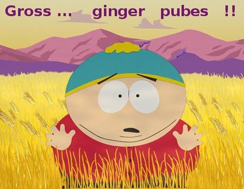 <a href="/NimaYamini/">Nima Yamini</a> Caucasian Jewish town 🥲