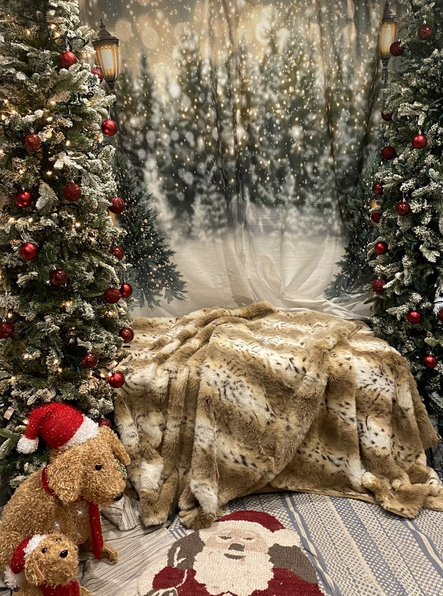 Today mum and best pal T put up the Christmas photo shoot area! Come and get your photies local paws!
Free for anyone to use any time we are open 
Santa Paws will here 6/7 Dec 🎅 ❤️
