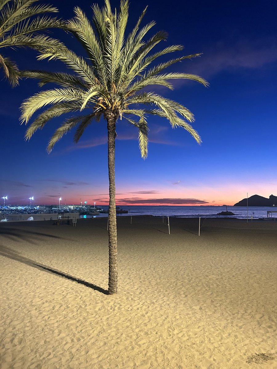 Lord David Simms tweet media