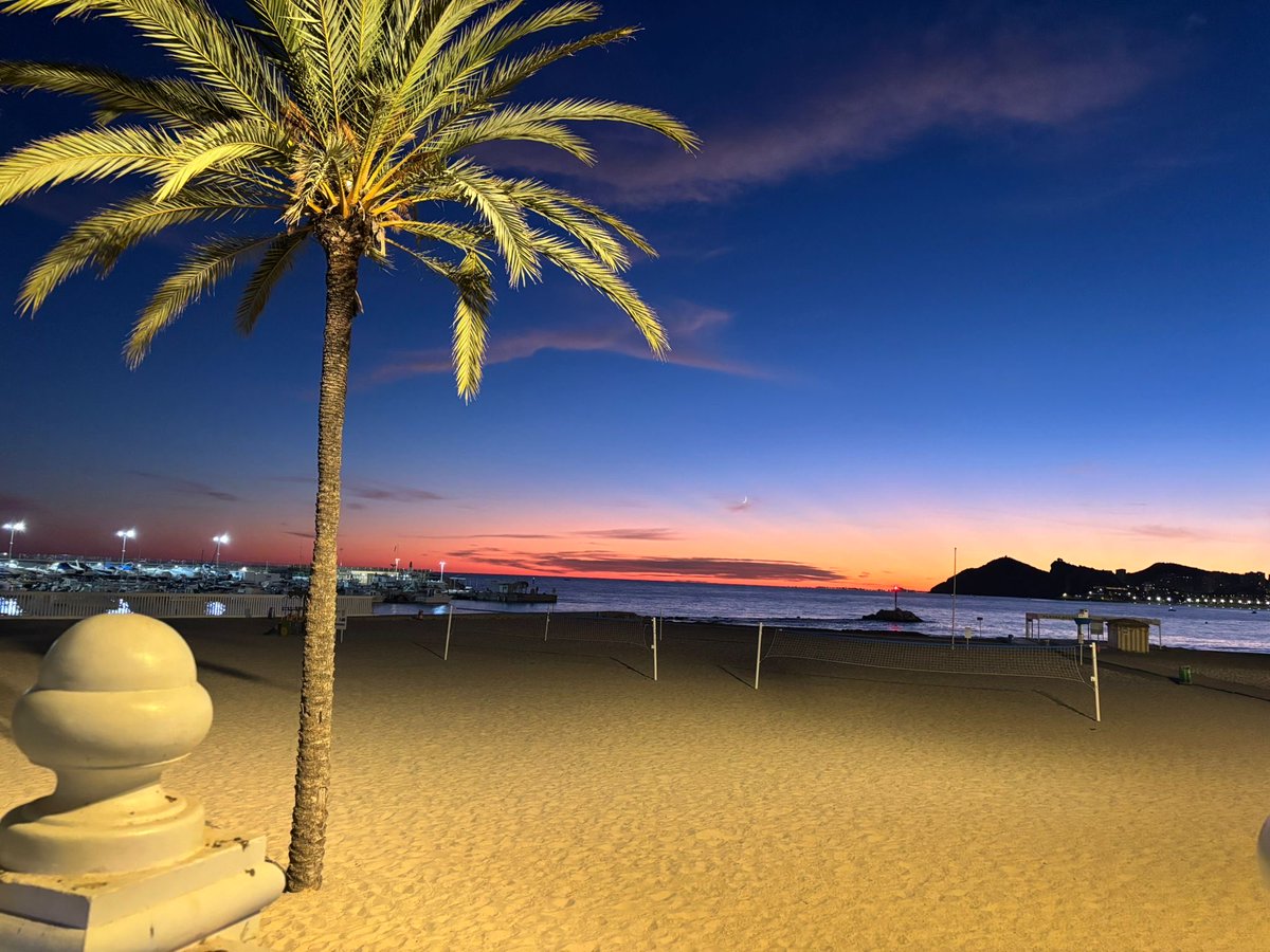 Lord David Simms tweet media