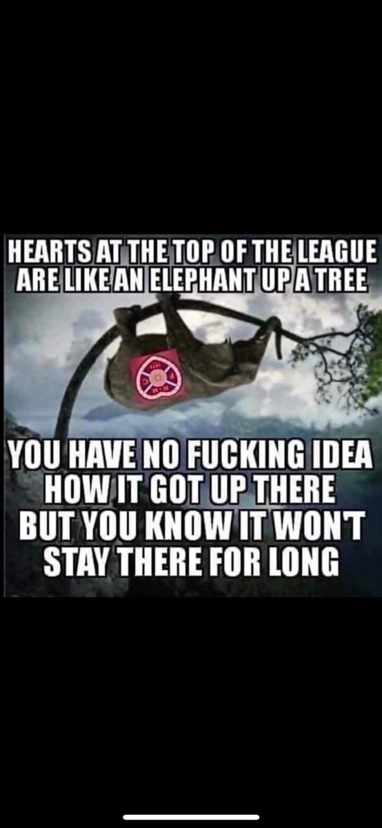 Davie Flanigan tweet media