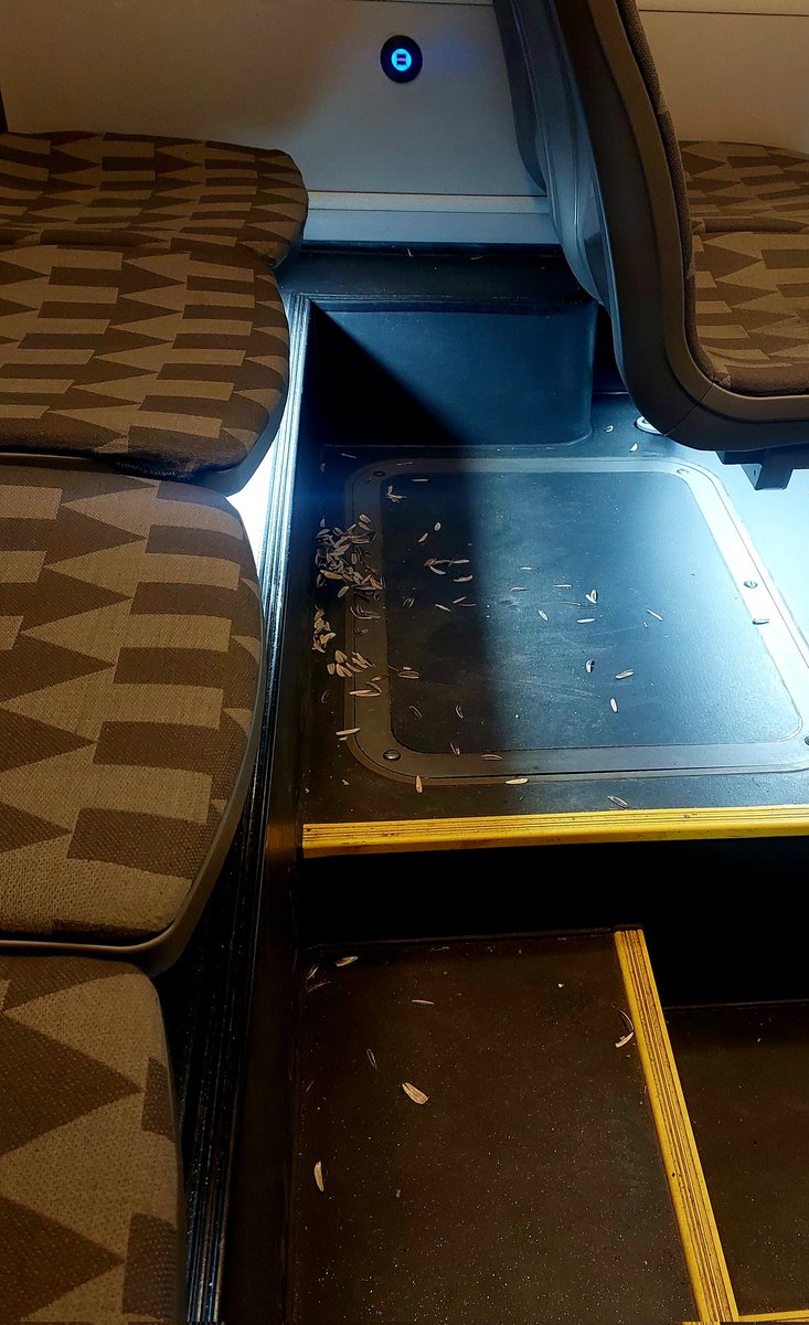 milkfluencer's tweet photo. Buss i Malmö be like: https://t.co/BToX48kTaG