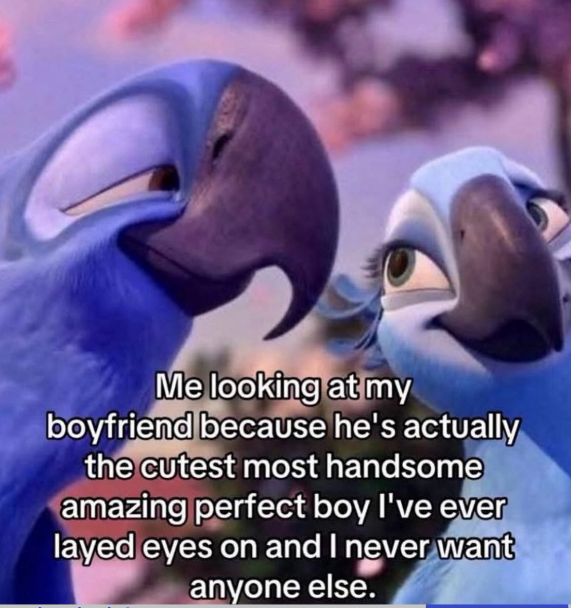 not cute & kinky memes (@cravedcuddle) on Twitter photo 