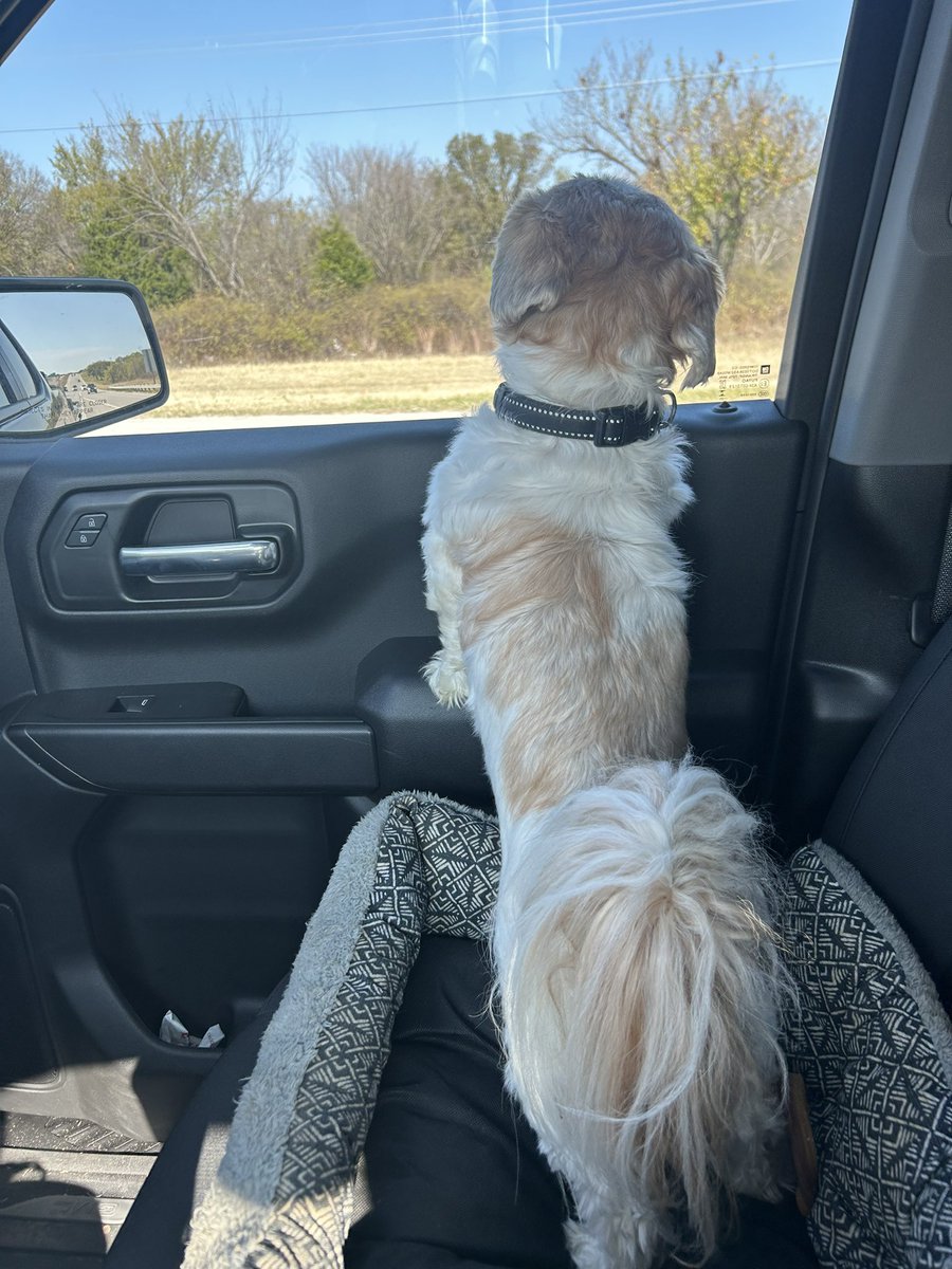 Maverick Smart tweet media