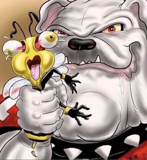 KitsieAnn's tweet image. #GoDawgs 
#BeatTech
👍♥️🖤🦴🦴🦴