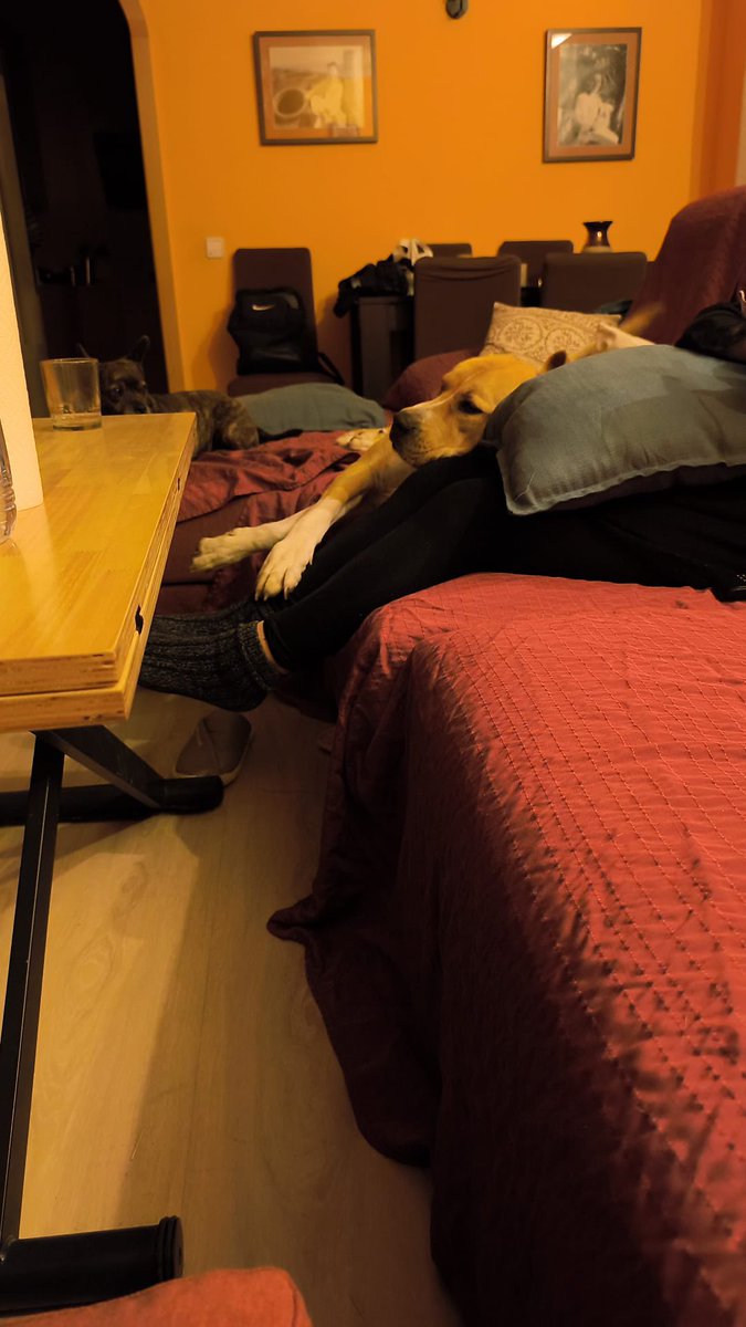 イザナミイリア tweet media