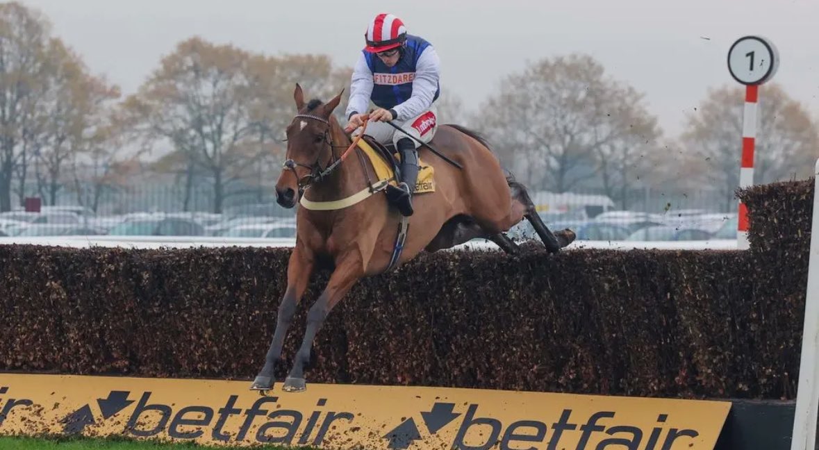 oddzowen's tweet image. What a weekend of racing.

Why we love the sport. The best in the world.

🐎🐎🐎