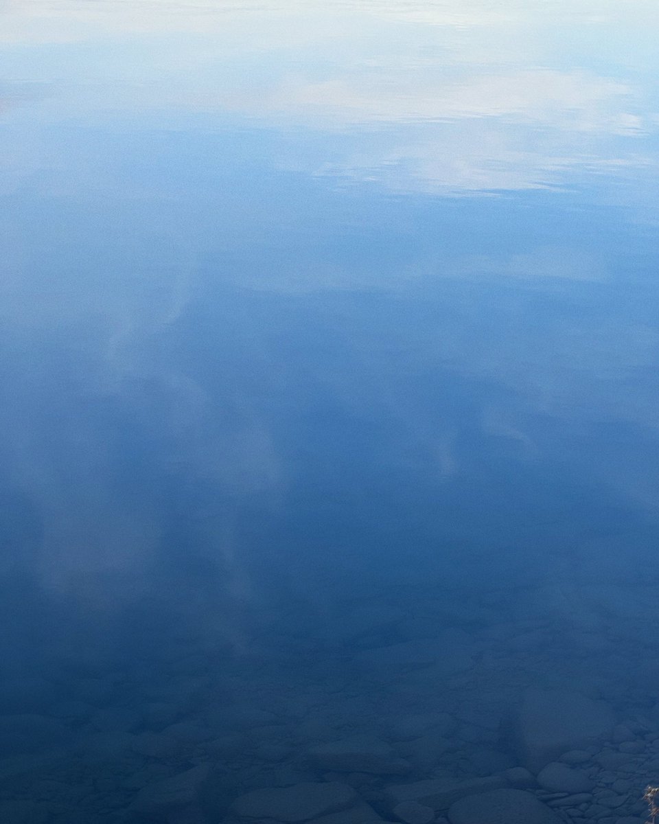 graceongrid's tweet image. This week.