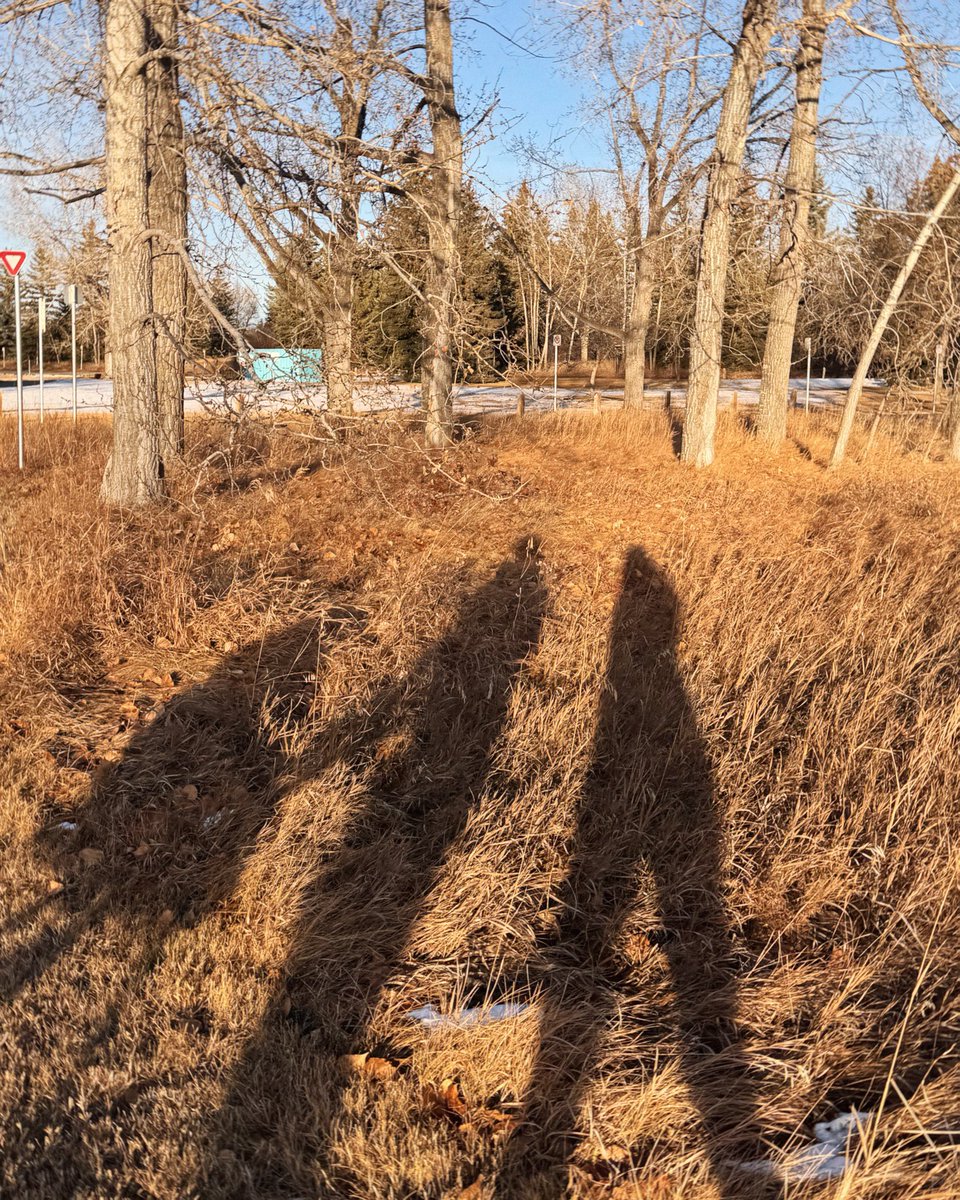 graceongrid's tweet image. This week.