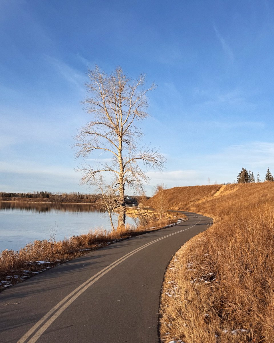 graceongrid's tweet image. This week.