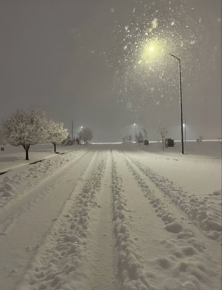 Matt_Pinner's tweet image. You wake tomorrow to this ❄️ 

What is the first thing you do?