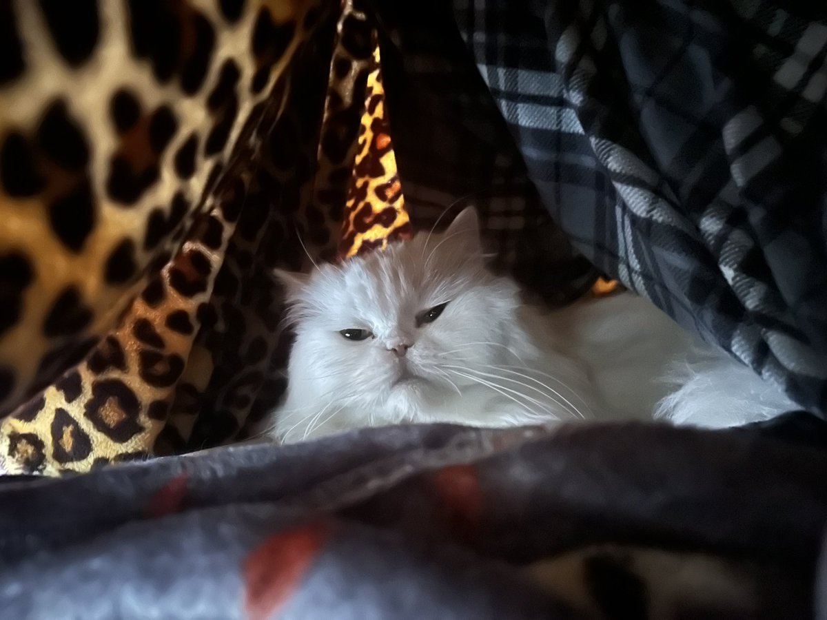 d1v1n3yay's tweet image. i love to be under the blanket :)