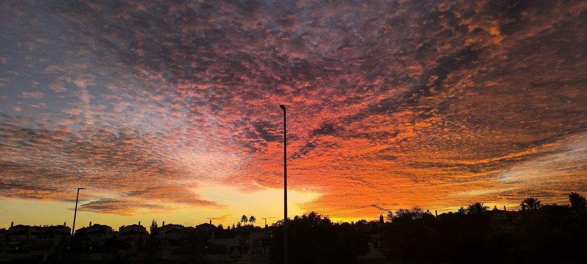 ibluje's tweet photo. @aquilatierratve atardecer en Córdoba https://t.co/Wp64LydmXr