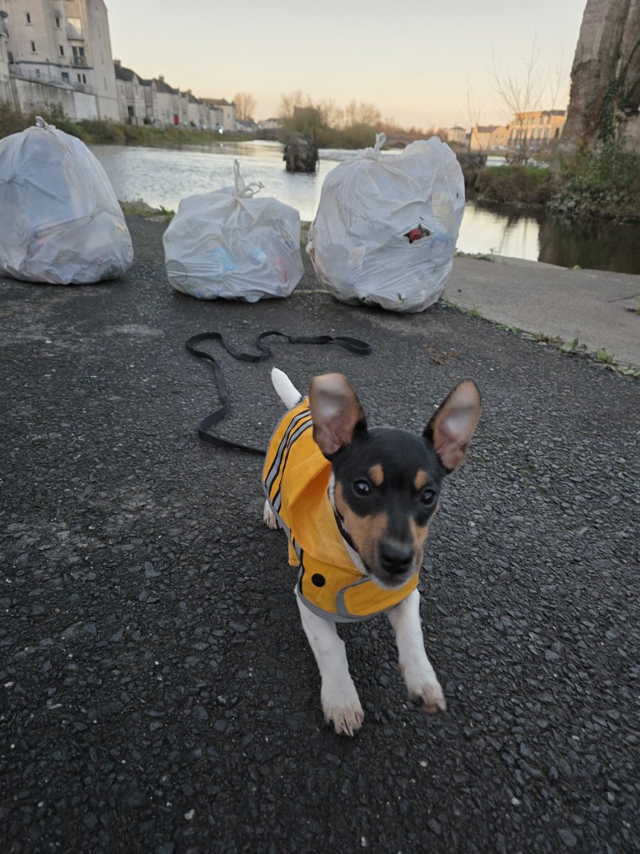 respecting nature tweet media