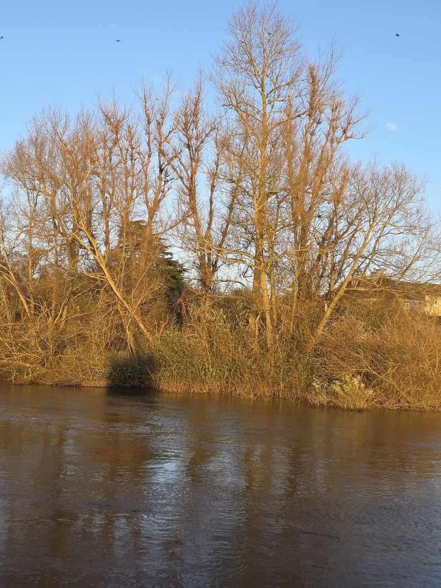 respecting nature tweet media