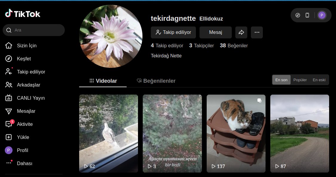 tekirdagnette's tweet photo. Tekirdağ Nette Tiktok sayfamız

https://t.co/5h2rKWeSVA

#tekirdağnette #tekirdağ #tiktok https://t.co/qYvo5iXEbJ