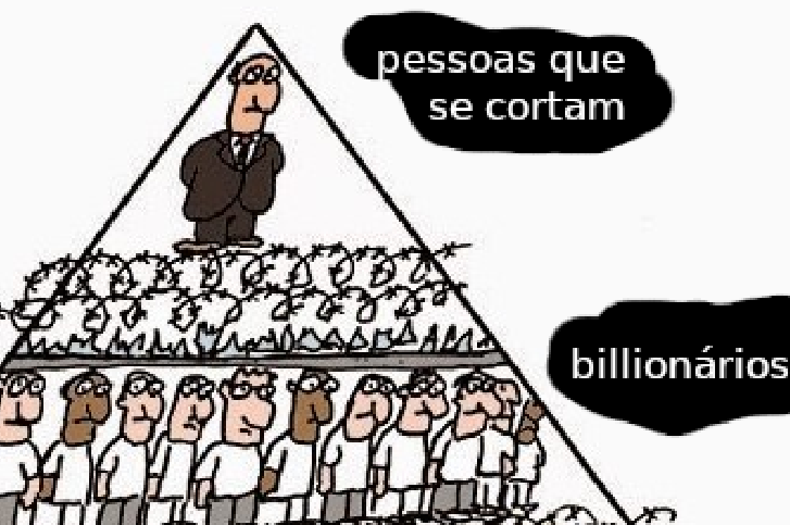 kaiyaguaru 🇵🇸🌻 tweet media