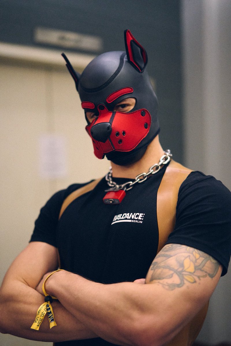 The kennel you go 🐺⛓️