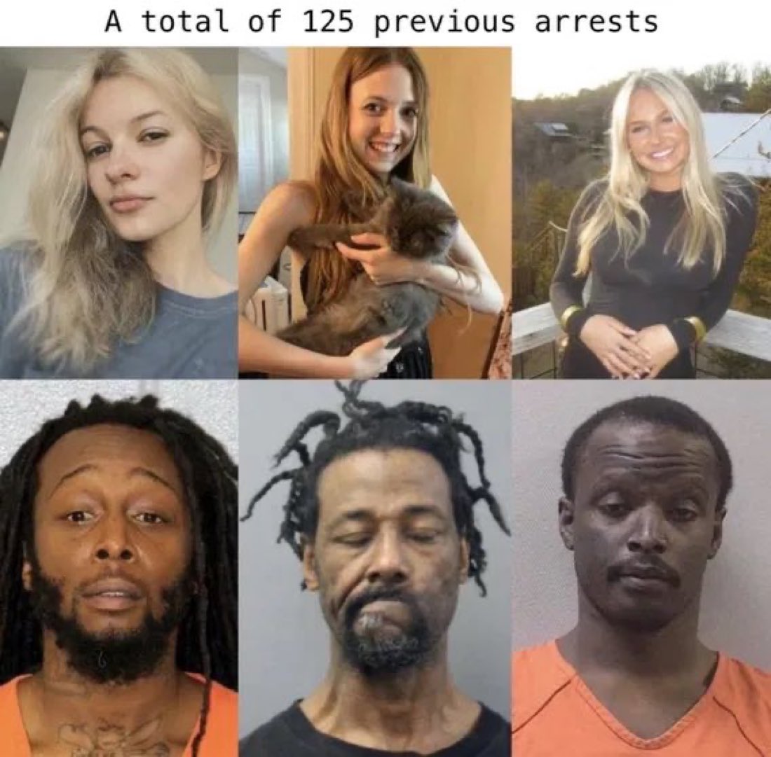 This is what happens when you defund the police and install Soros DAs. 

Innocent women get killed.