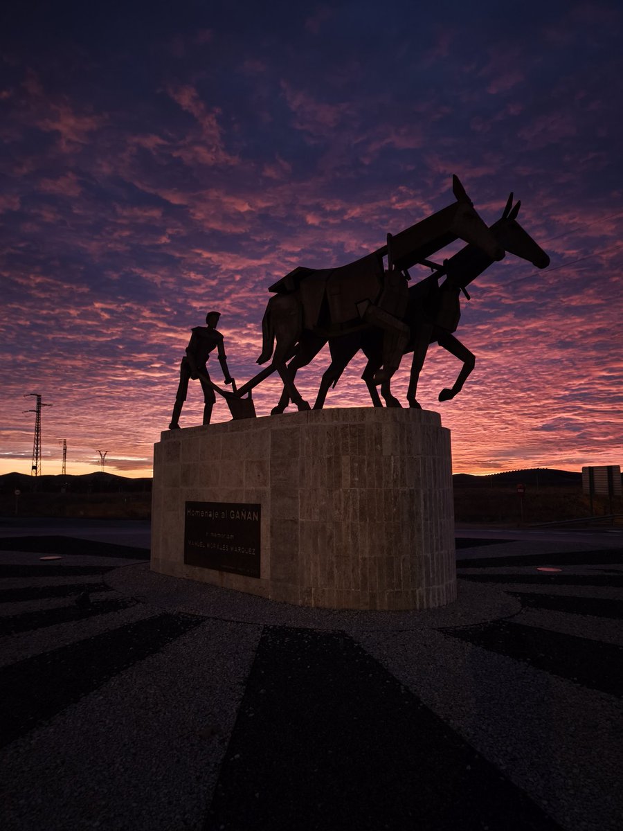 Miguel Castro tweet media