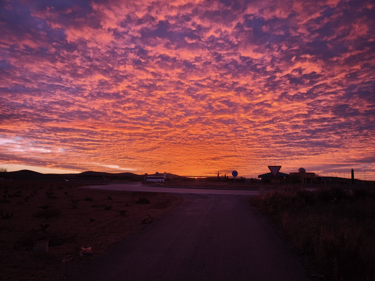 Miguel Castro tweet media