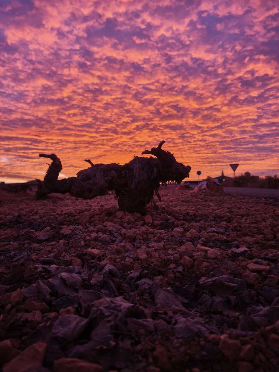 Miguel Castro tweet media