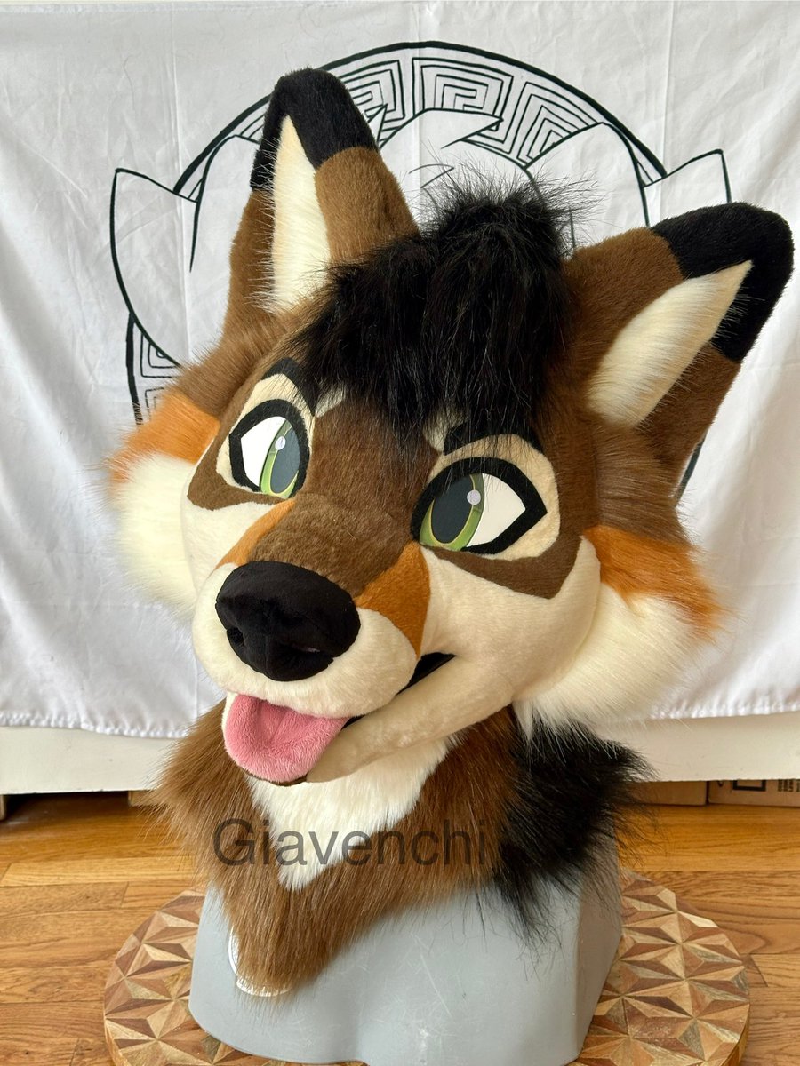 🌵🏜️ H A V E Y 🏜️🌵