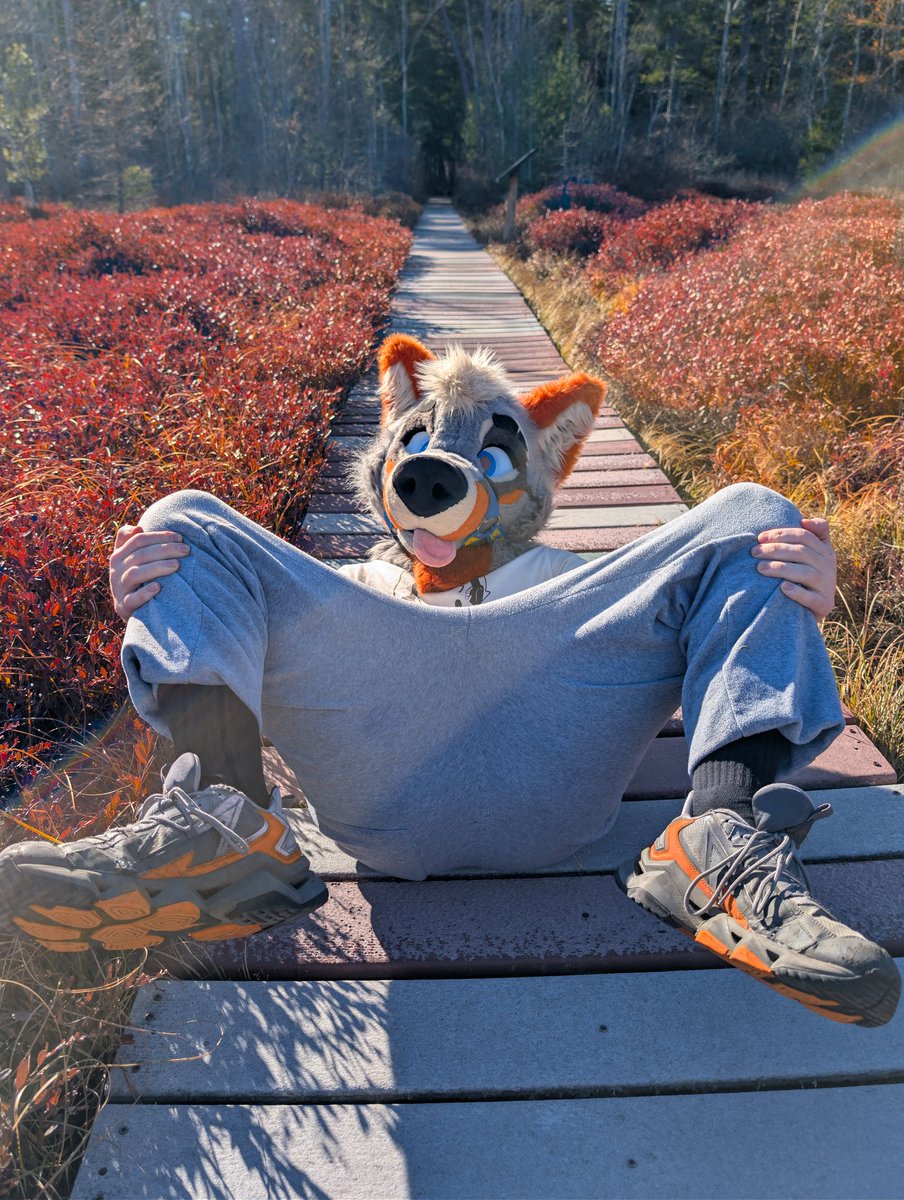 PartDoggo's tweet image. What are you staring at 👀