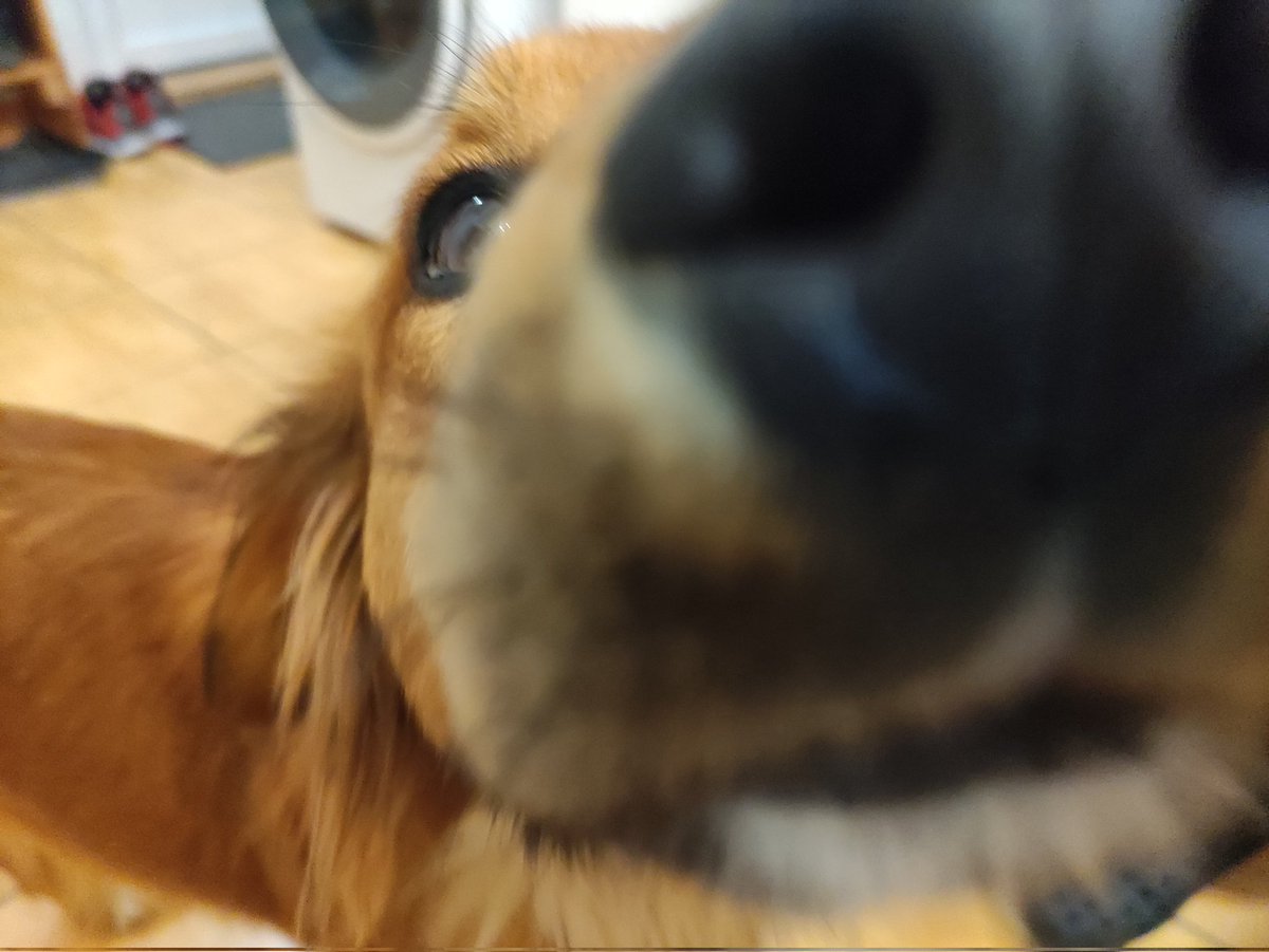 Benji ❤️ tweet media