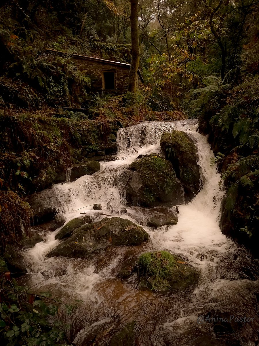 ...🤫💧🍂🖤

📍Carral