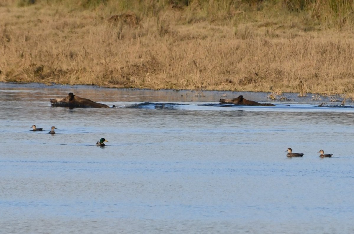 J@a.p (@jose_ap19) on Twitter photo 