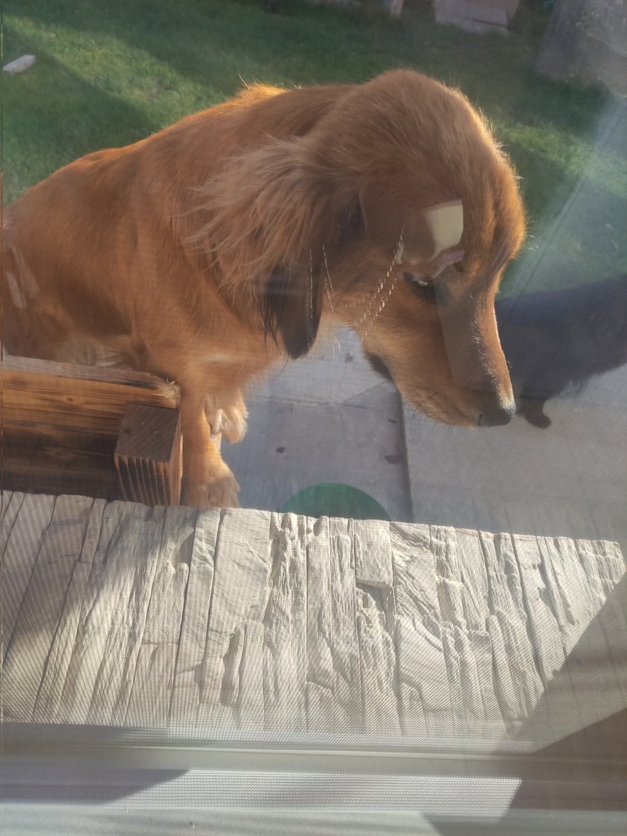 Benji ❤️ tweet media