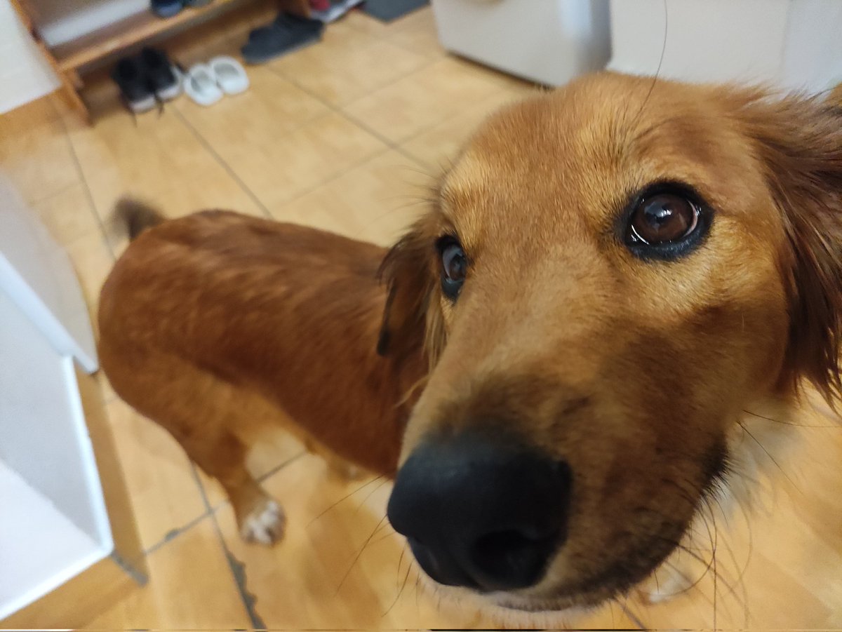 Benji ❤️ tweet media