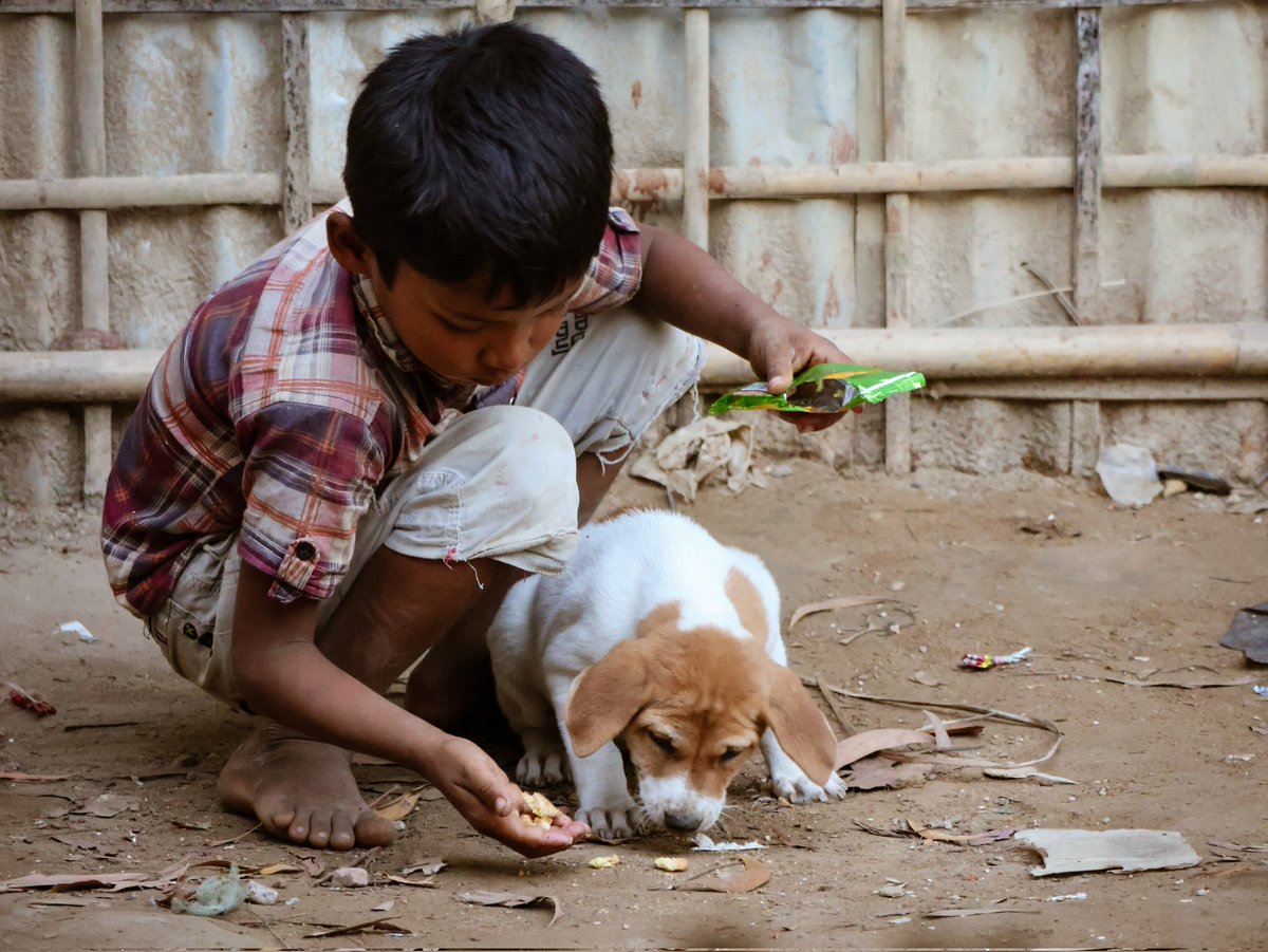 CFWRohimUllah's tweet image. In a Rohingya refugee camp in Cox’s Bazar,a young boy shares with a little dog what little he has,reminding us that compassion can grow even in the hardest places.He is proof that love,care and humanity are still alive

#Rohingya #Refugees #Compassion #Humanity

📸 @CFWRohimUllah