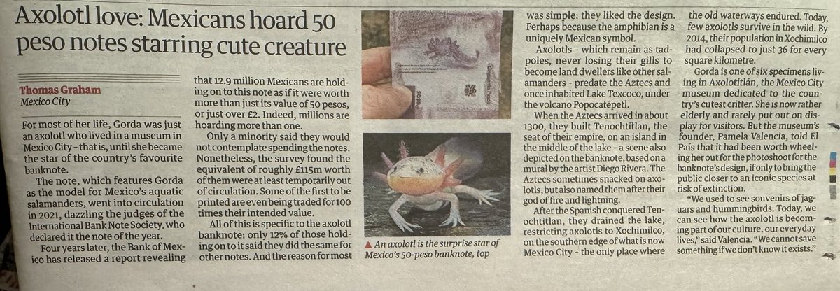 Barb_Drummond's tweet image. #Mexicans hoarding #axolotl #notes #cuteness