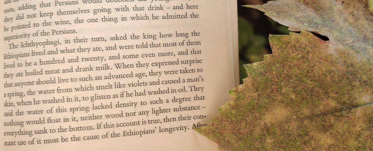 Rereading Herodotus' The Histories and being reminded of this account of Ethiopians living to be 120 years old👀

"...they were taken to a spring, the water from which smelt like violets and caused a man's skin, when he washed in it, to glisten as if he had washed in oil."
