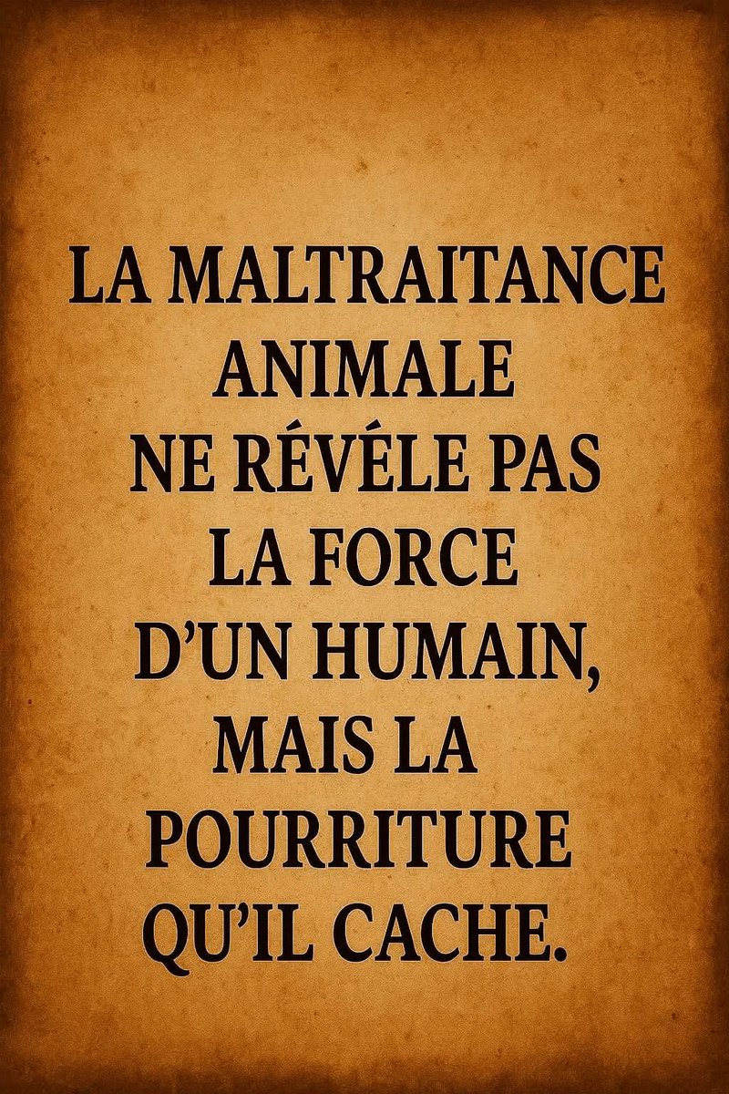 AdeaClaude's tweet image. 