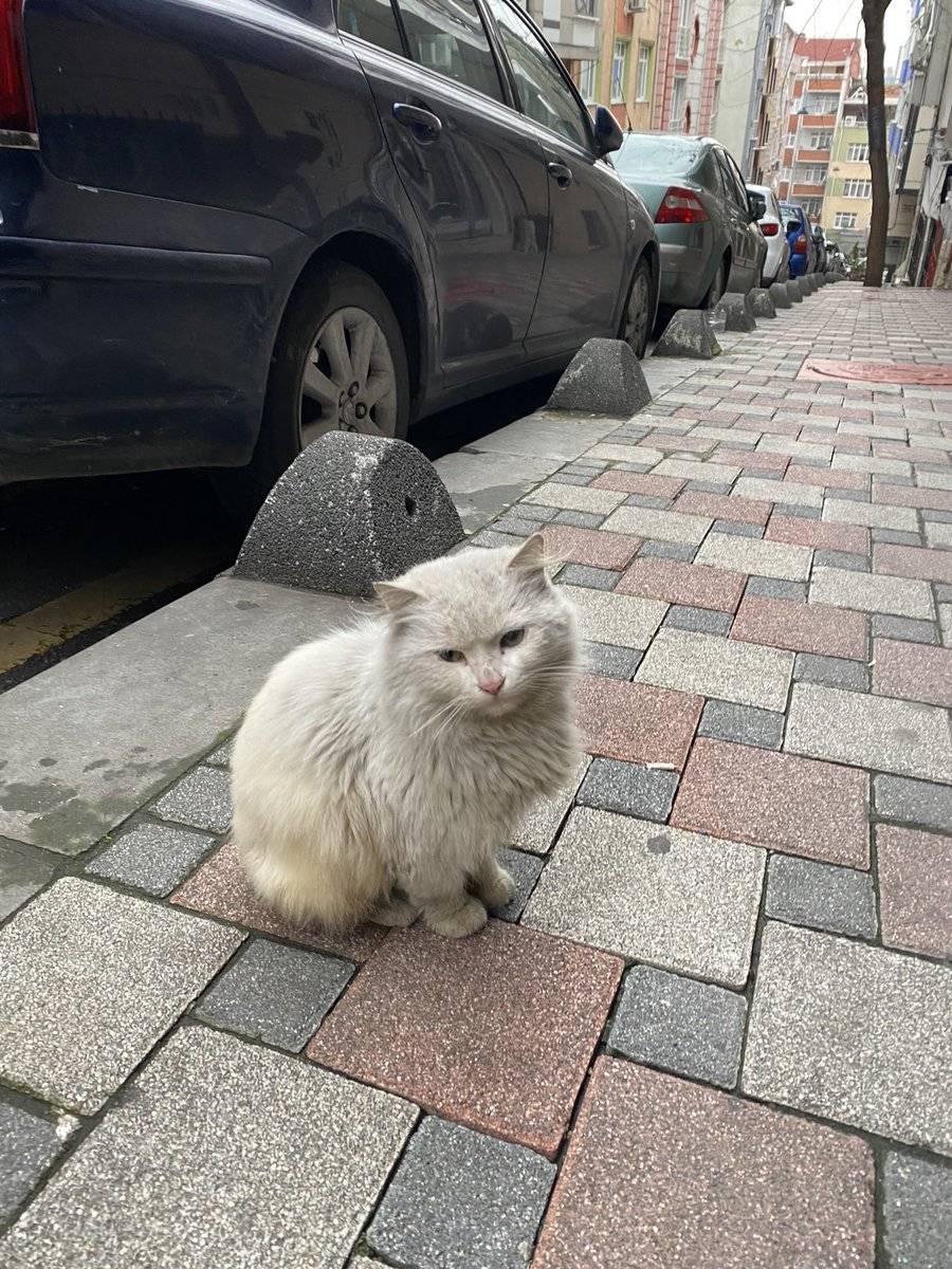 Sen değil, dünya kirli…