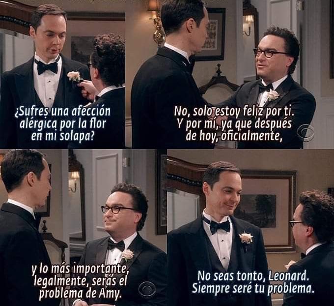 DSheldon_Cooper's tweet photo. Este momento 🥹 https://t.co/YguEuNWqb8